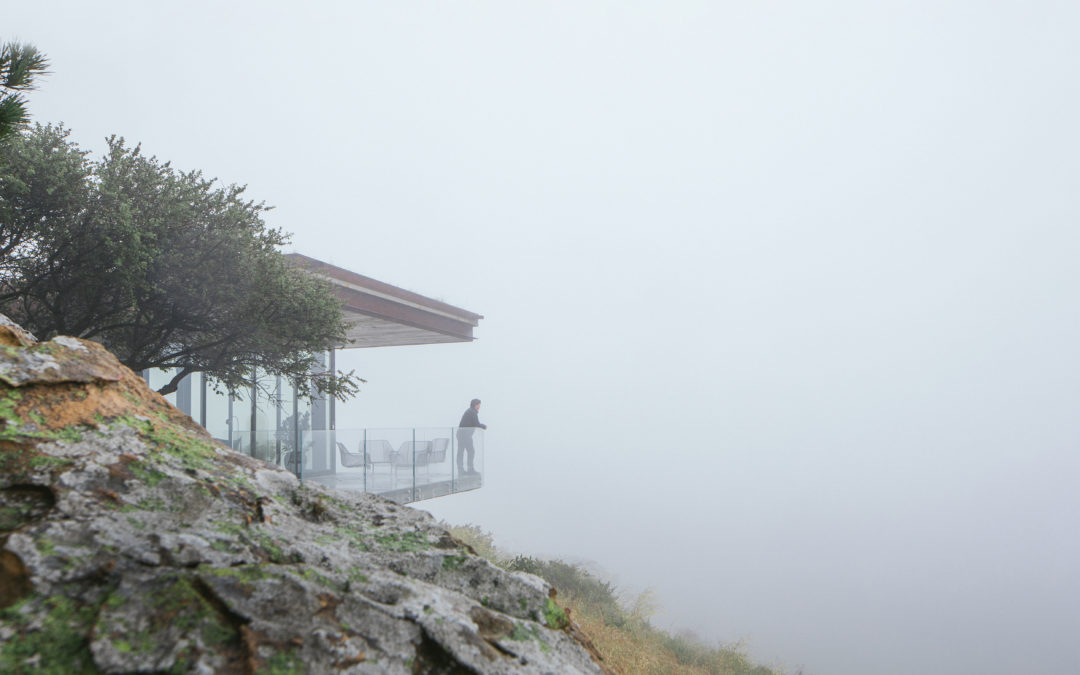 ARCHITECTURE IN BIOPHILIC DESIGN